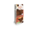 3760294960288.png