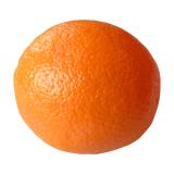 ORANGE PETITE KG