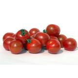 TOMATE CERISE KG