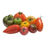 TOMATE ANCIENNE KG