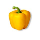 POIVRON JAUNE KG