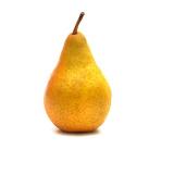 POIRE WILLIAM  KG
