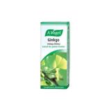 GINKGO VOGEL