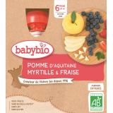 GOURDE POMME MYRTILLE FRAISE