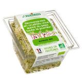 ALFALFA GERME 75G
