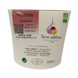 SORBET MYRTILLE