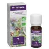 PIN SYLVESTRE