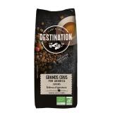 CAFE GRAND CRU EN GRAINS 1KG