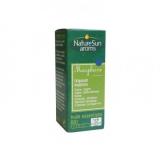 MARJOLAINE 10 ML
