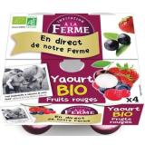 YAOURT AUX FRUITS ROUGES 4X125G