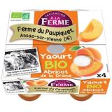 YAOURT ABRICOT 4X125G