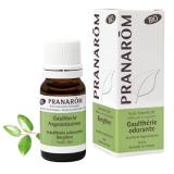GAULTHERIE ODORANTE BIO HE 10ML PRANAROM